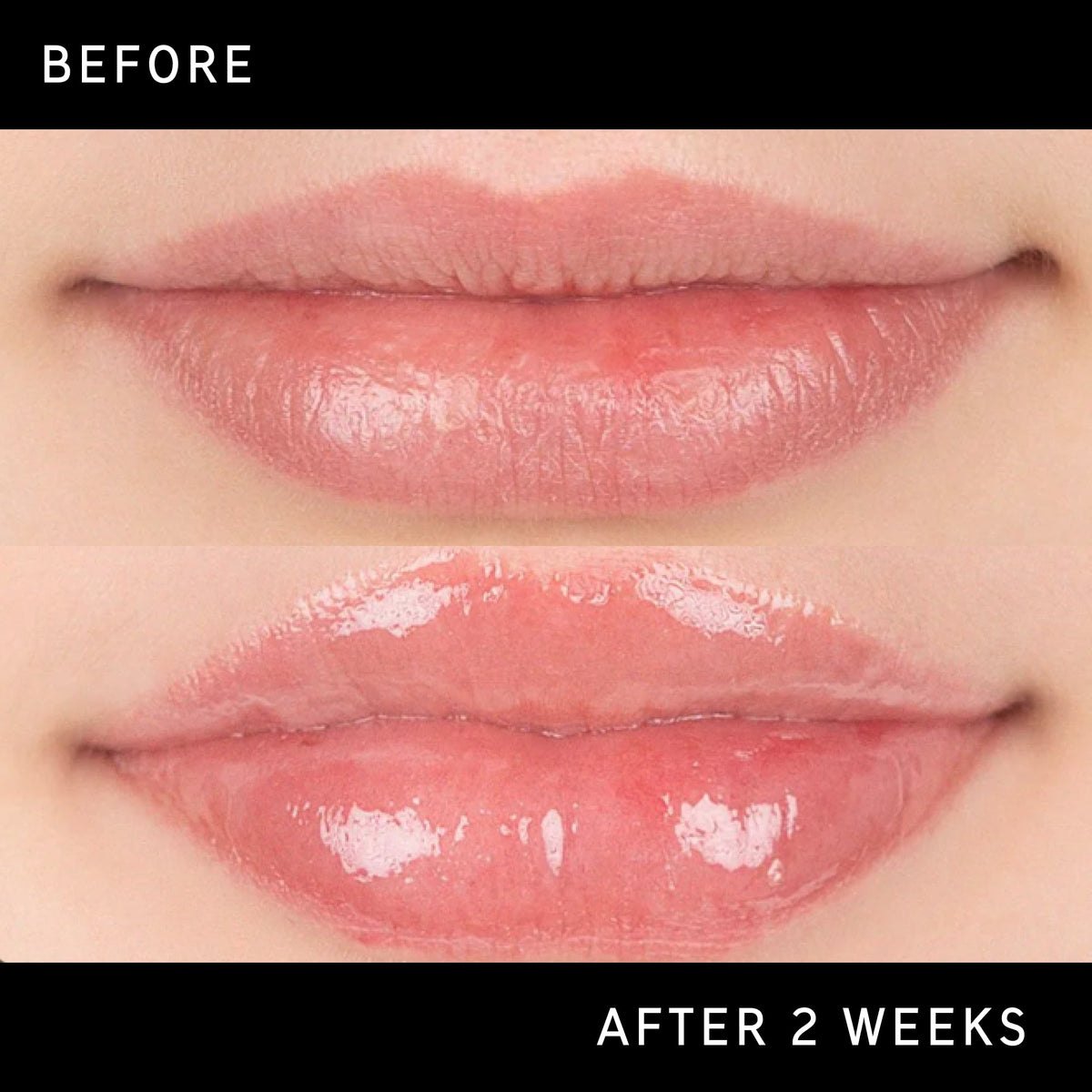 tripeptide-plumping-lip-balm-b8 DTC-Top15_Amends_Tripeptide-Lip_B_A.jpg